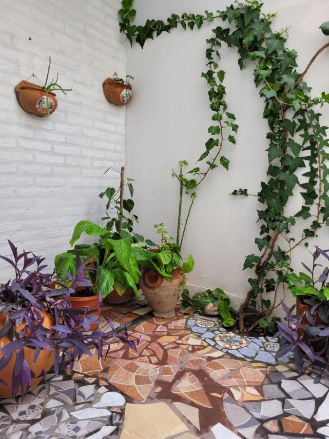 Perfecto Espacio سانتياغو ديل إستيرو المظهر الخارجي الصورة